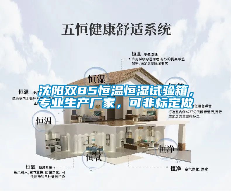 沈陽雙85恒溫恒濕試驗箱，專業(yè)生產(chǎn)廠家，可非標(biāo)定做