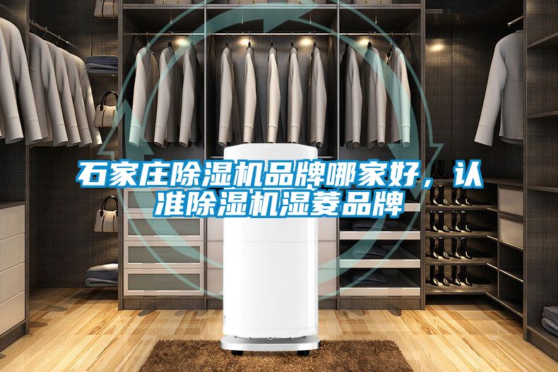 石家莊除濕機(jī)品牌哪家好，認(rèn)準(zhǔn)除濕機(jī)濕菱品牌