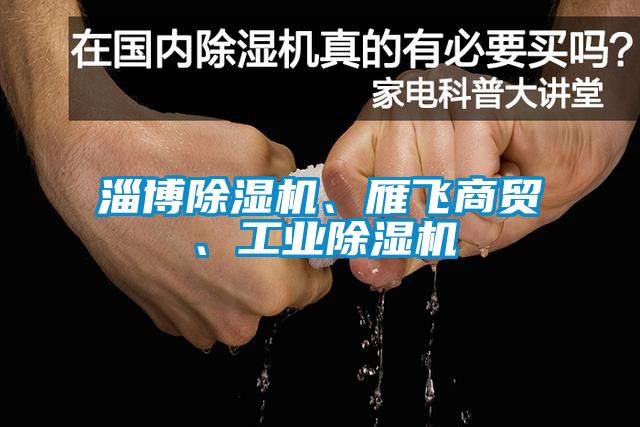 淄博除濕機(jī)、雁飛商貿(mào)、工業(yè)除濕機(jī)