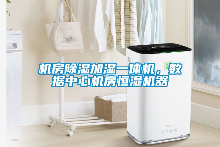 機房除濕加濕一體機，數據中心機房恒濕機器