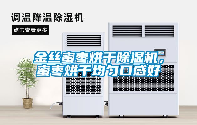 金絲蜜棗烘干除濕機，蜜棗烘干均勻口感好