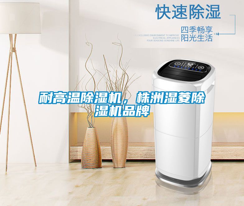 耐高溫除濕機(jī)，株洲濕菱除濕機(jī)品牌