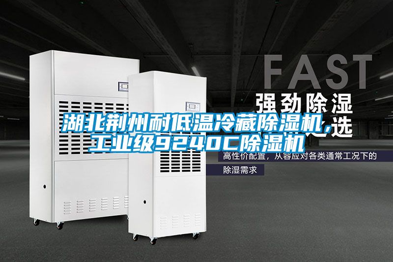 湖北荊州耐低溫冷藏除濕機(jī)，工業(yè)級9240C除濕機(jī)