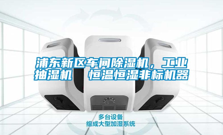 浦東新區(qū)車間除濕機，工業(yè)抽濕機  恒溫恒濕非標機器