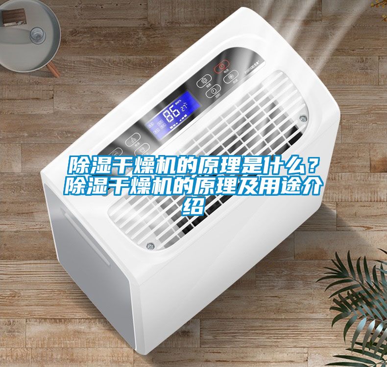 除濕干燥機(jī)的原理是什么？除濕干燥機(jī)的原理及用途介紹