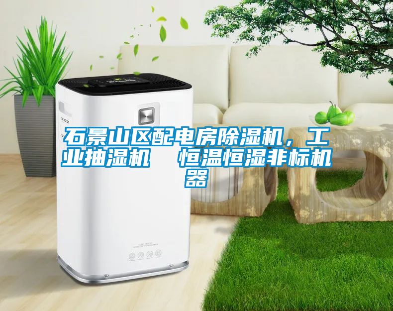石景山區(qū)配電房除濕機，工業(yè)抽濕機  恒溫恒濕非標(biāo)機器
