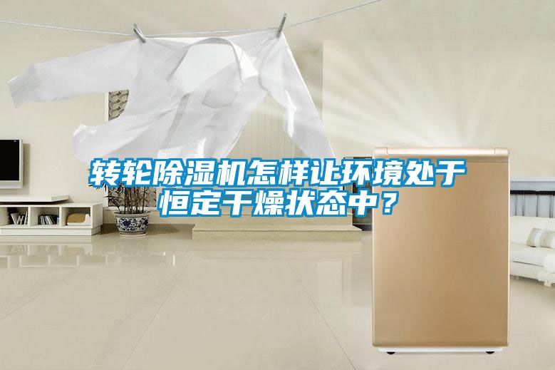 轉(zhuǎn)輪除濕機(jī)怎樣讓環(huán)境處于恒定干燥狀態(tài)中？