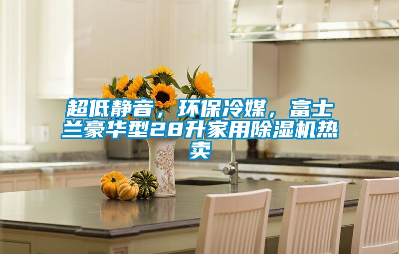 超低靜音，環(huán)保冷媒，富士蘭豪華型28升家用除濕機熱賣