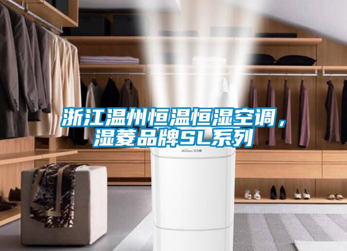浙江溫州恒溫恒濕空調(diào)，濕菱品牌SL系列