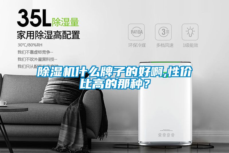 除濕機(jī)什么牌子的好啊,性?xún)r(jià)比高的那種？