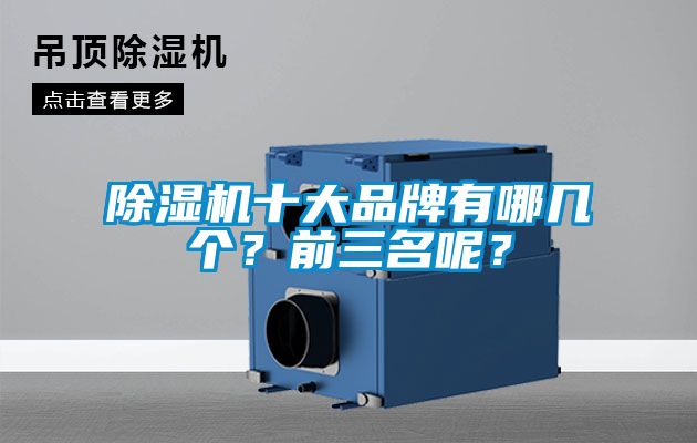 除濕機十大品牌有哪幾個？前三名呢？