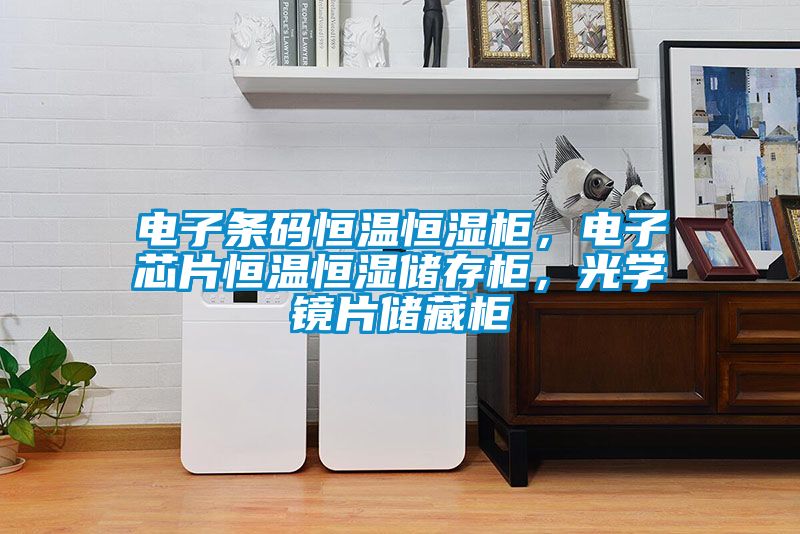 電子條碼恒溫恒濕柜，電子芯片恒溫恒濕儲(chǔ)存柜，光學(xué)鏡片儲(chǔ)藏柜
