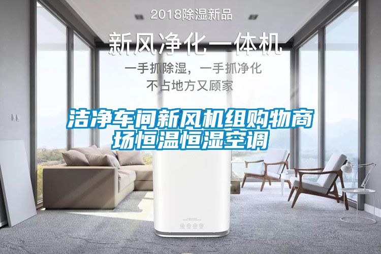 潔凈車間新風機組購物商場恒溫恒濕空調(diào)