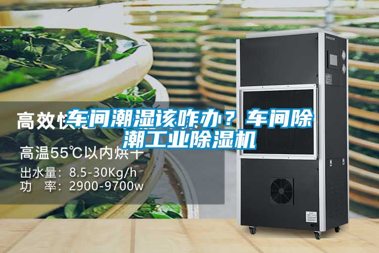 車間潮濕該咋辦？車間除潮工業(yè)除濕機