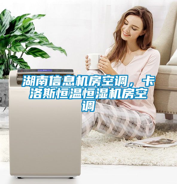 湖南信息機(jī)房空調(diào)，卡洛斯恒溫恒濕機(jī)房空調(diào)