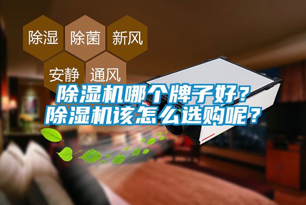 除濕機(jī)哪個(gè)牌子好？除濕機(jī)該怎么選購(gòu)呢？