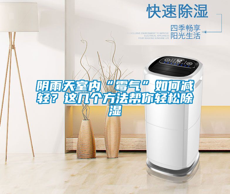 陰雨天室內(nèi)“霉氣”如何減輕？這幾個(gè)方法幫你輕松除濕