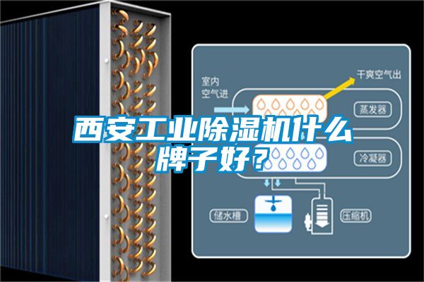 西安工業(yè)除濕機(jī)什么牌子好？