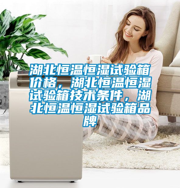 湖北恒溫恒濕試驗(yàn)箱價(jià)格，湖北恒溫恒濕試驗(yàn)箱技術(shù)條件，湖北恒溫恒濕試驗(yàn)箱品牌