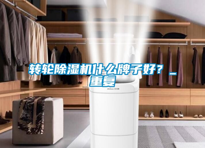 轉(zhuǎn)輪除濕機(jī)什么牌子好？_重復(fù)