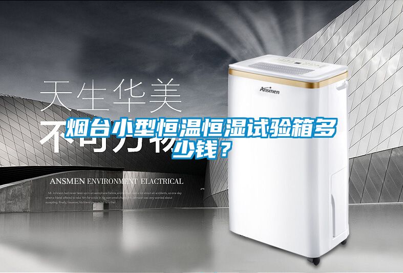 煙臺小型恒溫恒濕試驗箱多少錢？