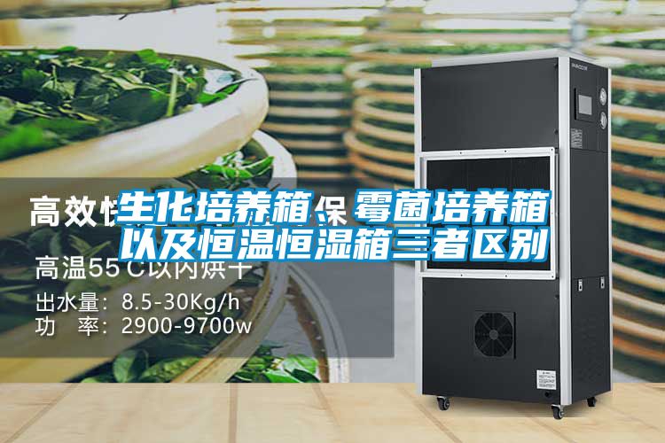 生化培養(yǎng)箱、霉菌培養(yǎng)箱以及恒溫恒濕箱三者區(qū)別