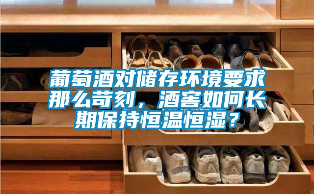 葡萄酒對儲存環(huán)境要求那么苛刻，酒窖如何長期保持恒溫恒濕？