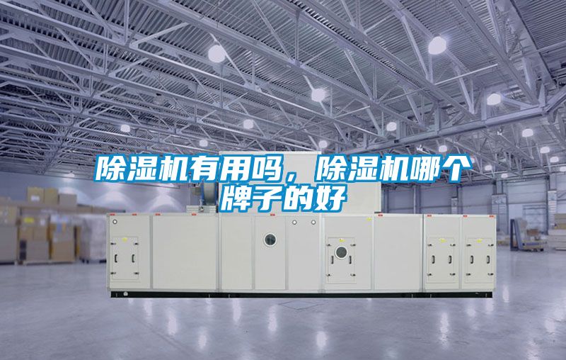 除濕機有用嗎，除濕機哪個牌子的好