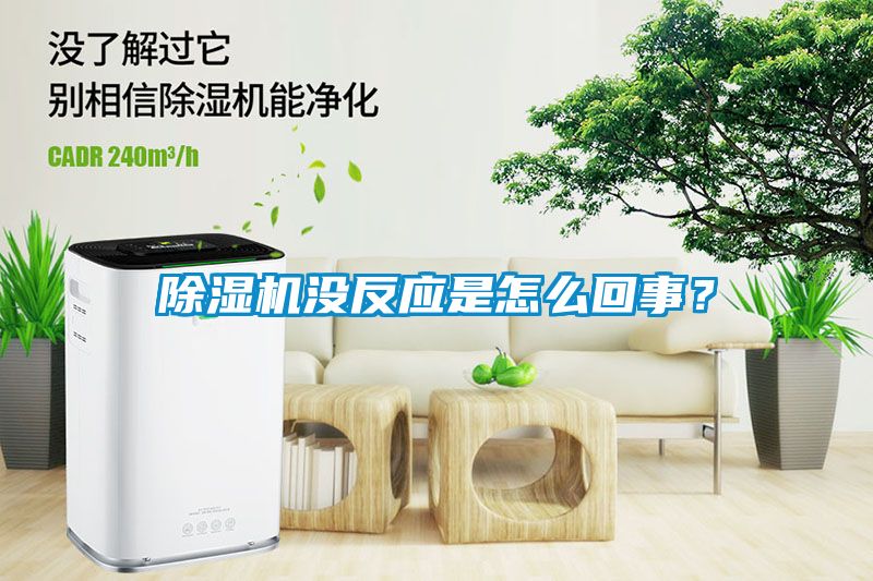 除濕機(jī)沒(méi)反應(yīng)是怎么回事？