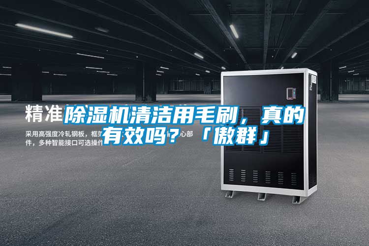 除濕機(jī)清潔用毛刷，真的有效嗎？「傲群」