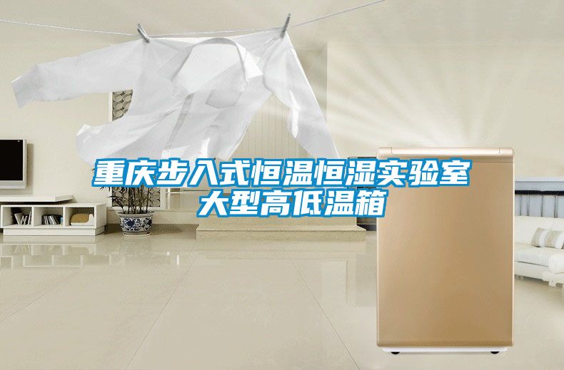 重慶步入式恒溫恒濕實(shí)驗室 大型高低溫箱