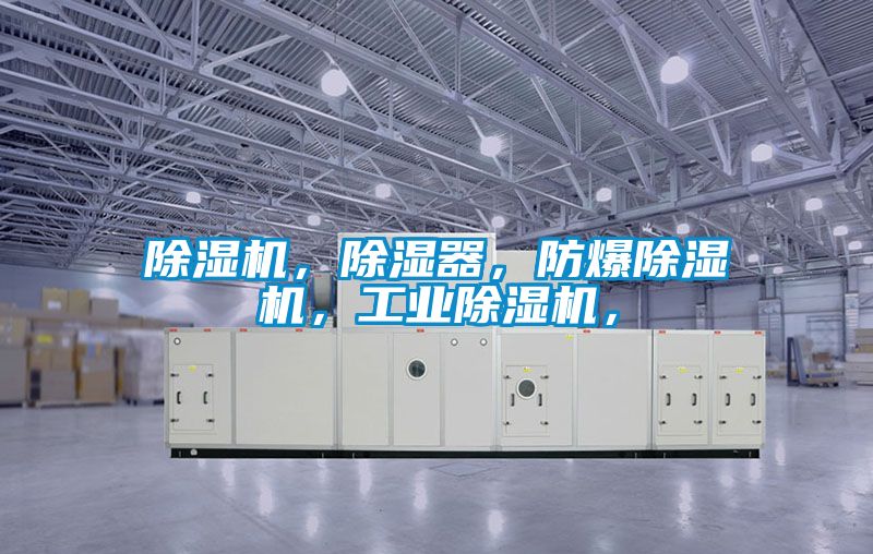 除濕機，除濕器，防爆除濕機，工業(yè)除濕機，