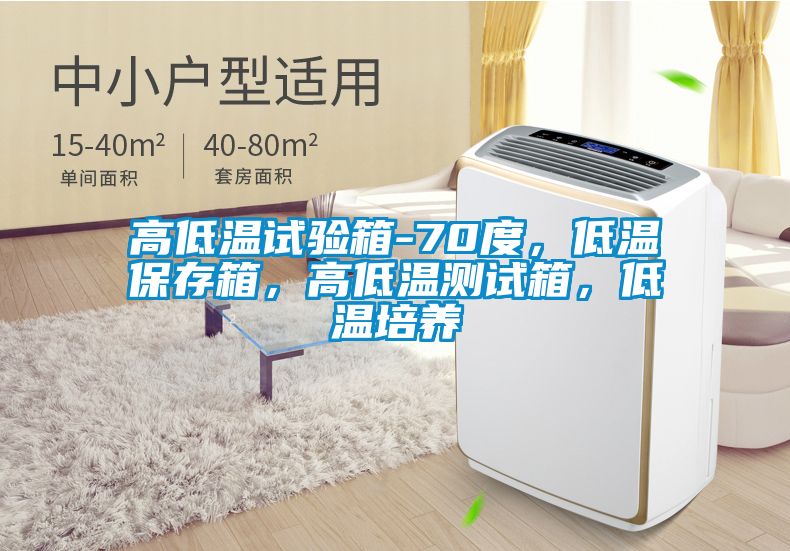 高低溫試驗箱-70度，低溫保存箱，高低溫測試箱，低溫培養(yǎng)
